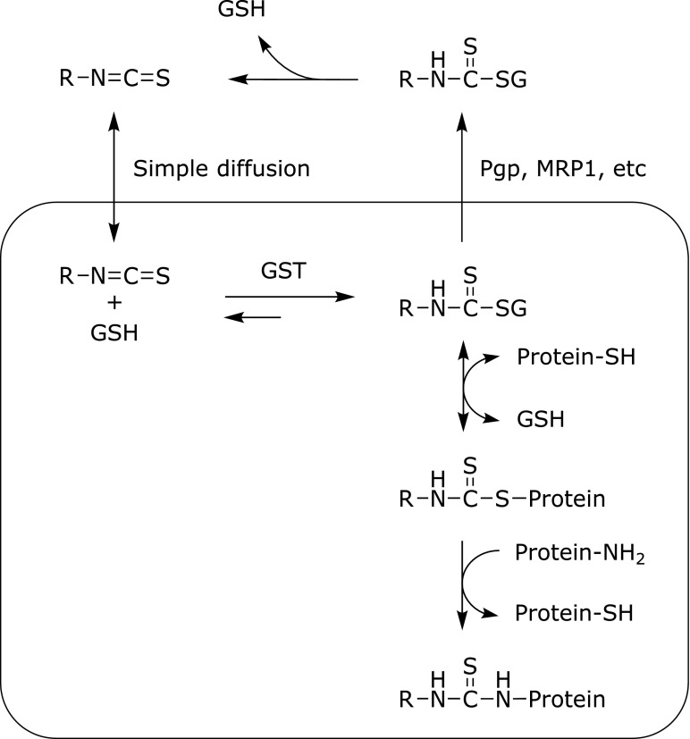 Fig. 4