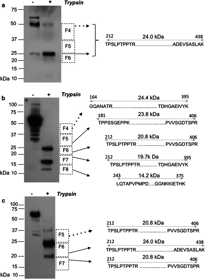 Fig. 5