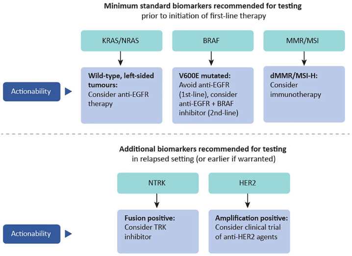 Tumor Biomarker Testing For Metastatic Colorectal Cancer A Canadian Consensus Practice 9748