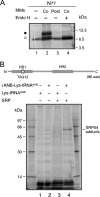 FIG. 5.