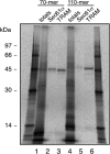 FIG. 6.