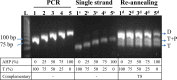 Figure 10.