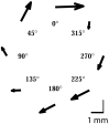 Figure 8.