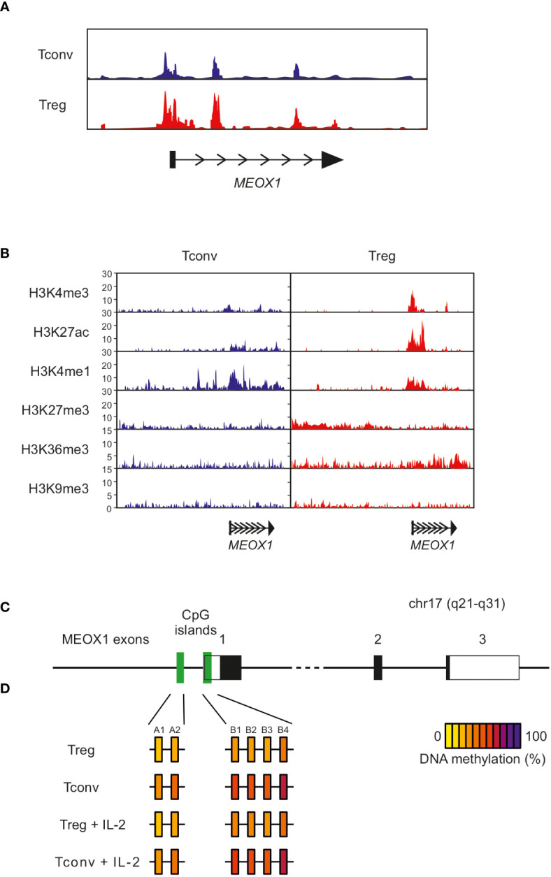 Figure 6