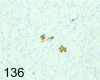 Fig. 136.