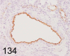 Fig. 134.