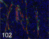 Fig. 102.