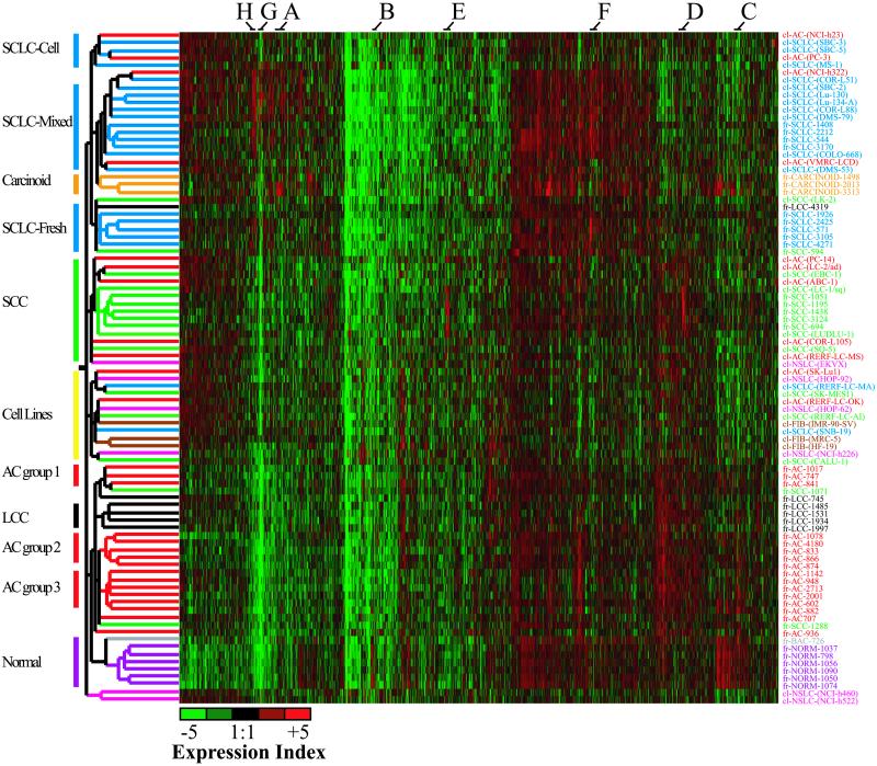 Fig 3.