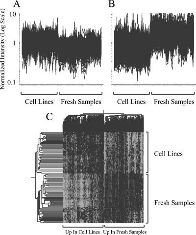 Fig 2.