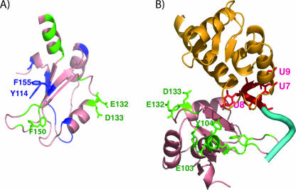 FIG. 6.