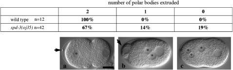 Figure 2.—