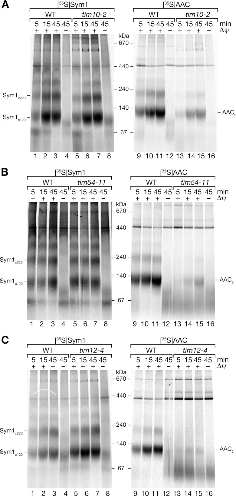 Fig 6