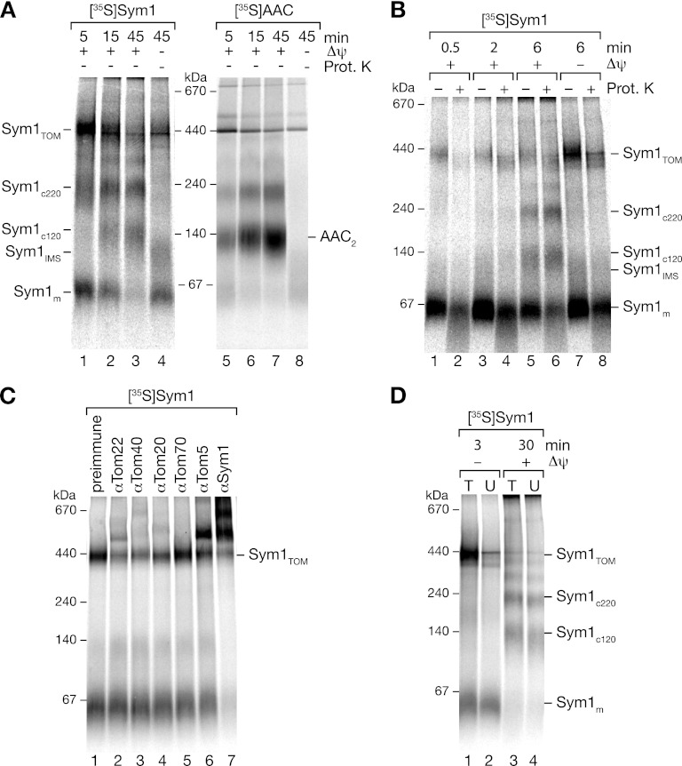 Fig 5