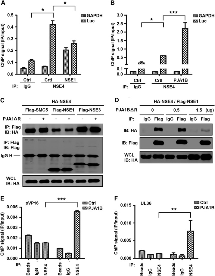 FIG 6