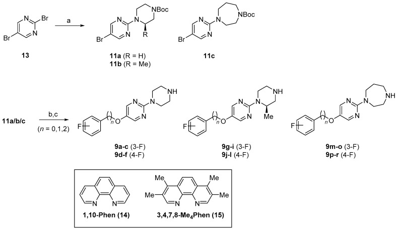Scheme 1