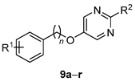 graphic file with name molecules-24-03234-i001.jpg