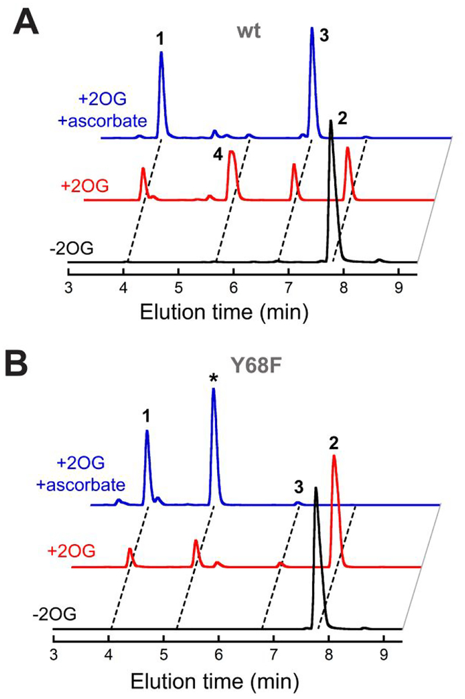 Figure 5.