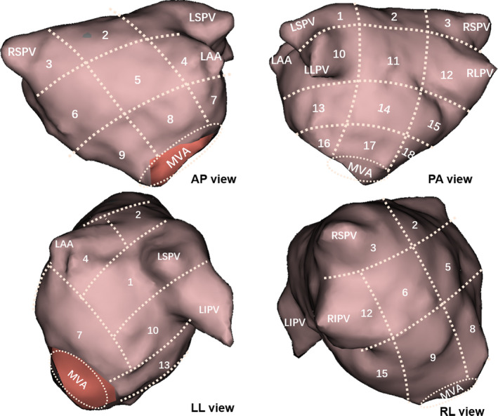 FIGURE 1