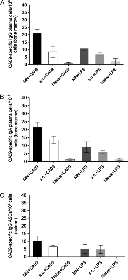 Figure 6.