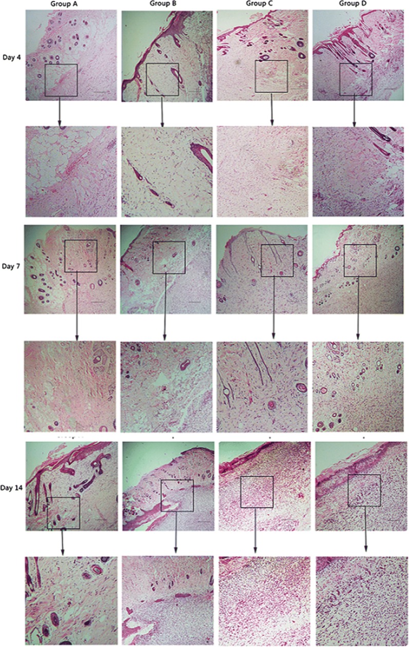 Fig. 6