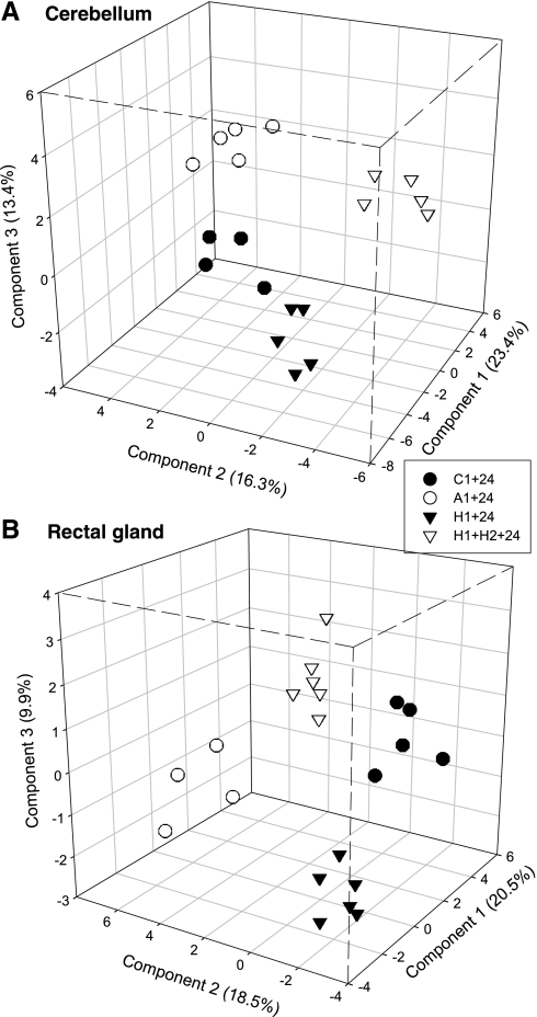 Fig. 8.