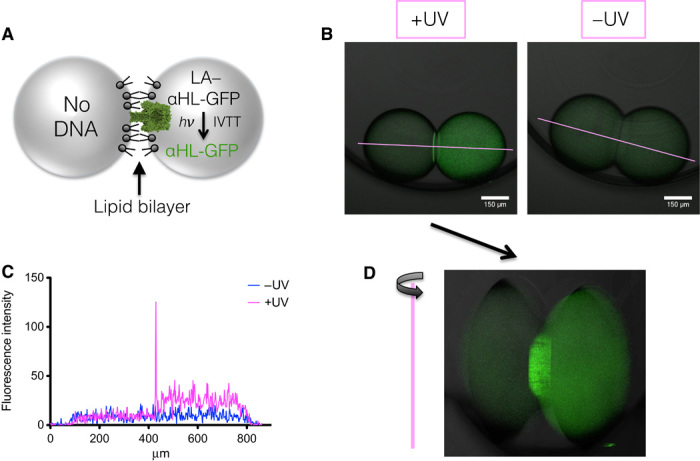 Fig. 3