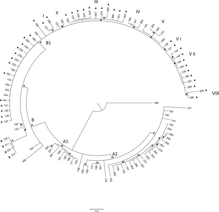 FIG 2