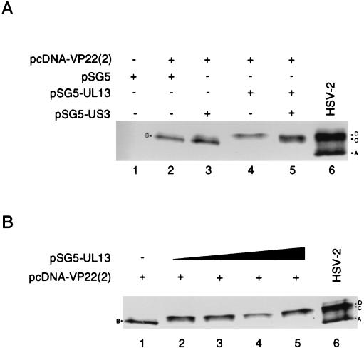 FIG. 7