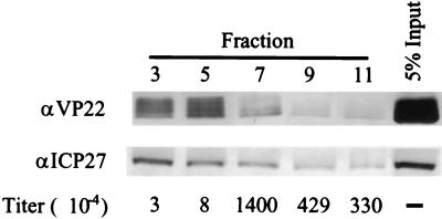 FIG. 9