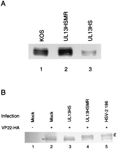 FIG. 6