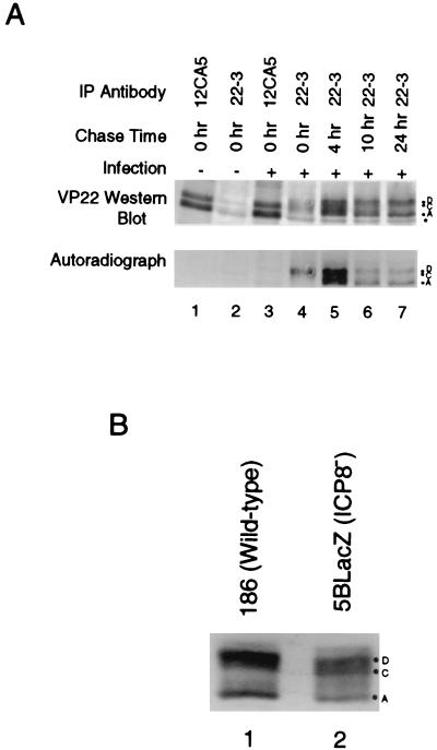 FIG. 8