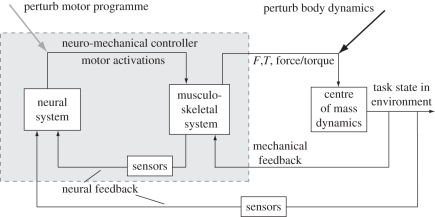 Figure 1.