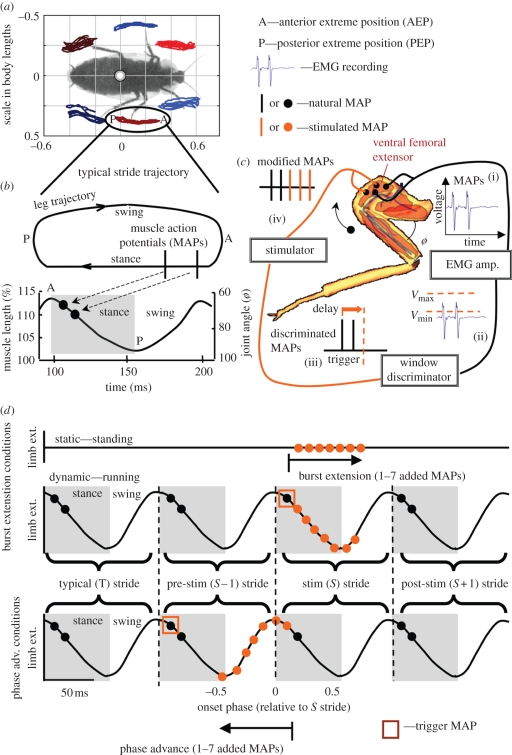 Figure 2.