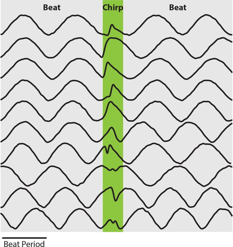 Figure 1—figure supplement 1.