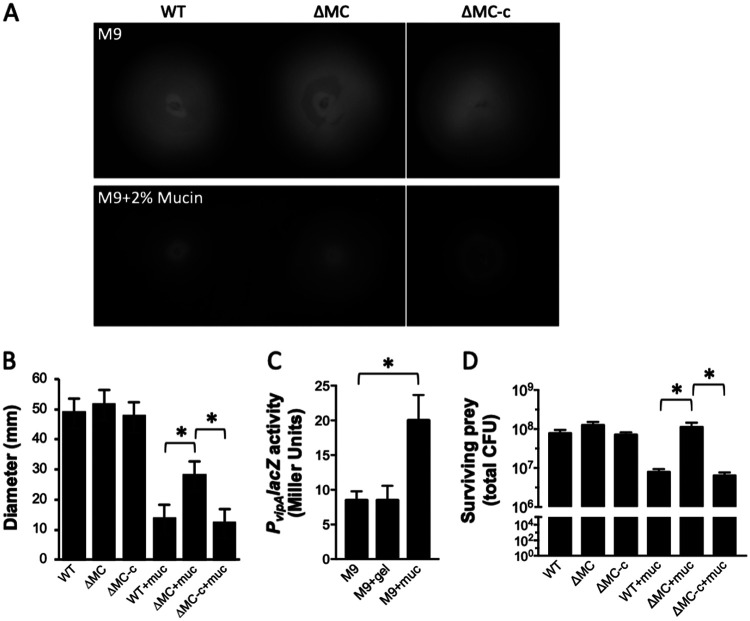 FIG 2