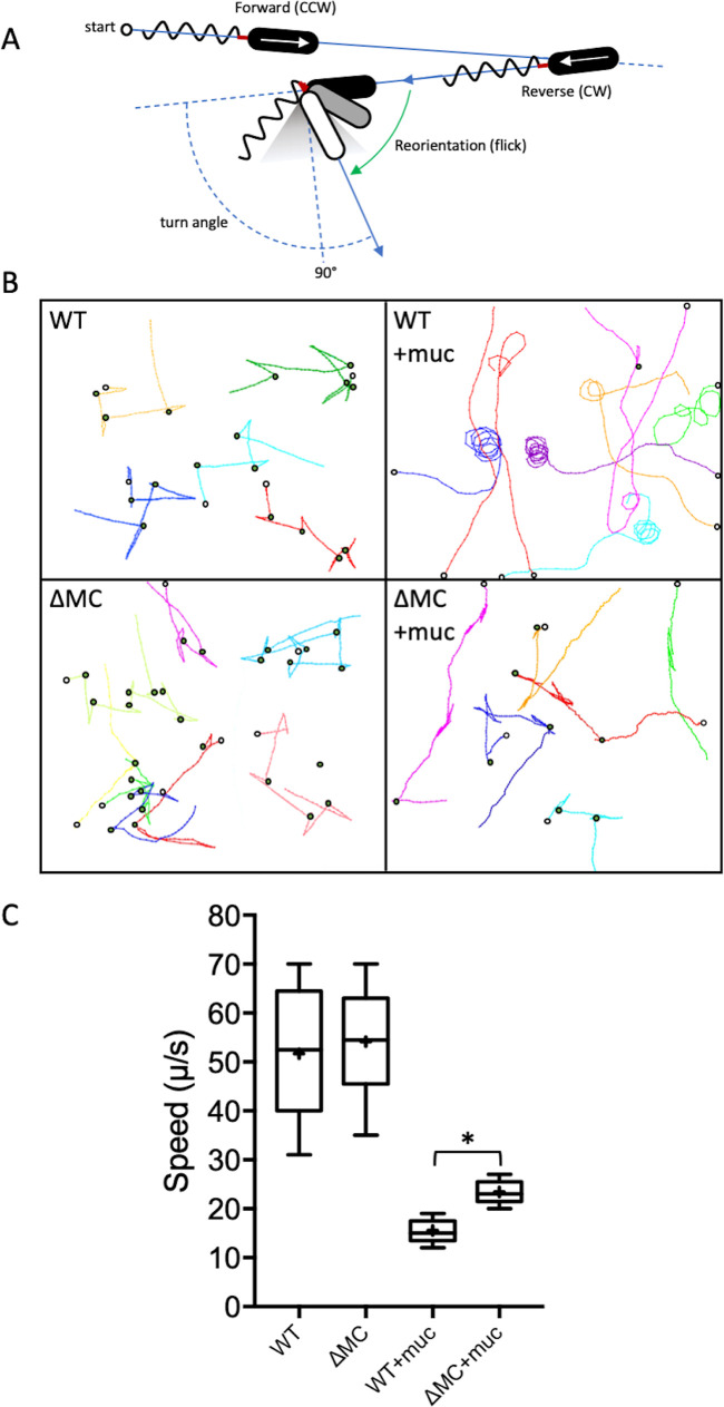 FIG 3