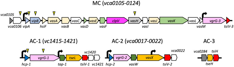 FIG 1