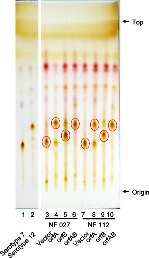 FIG. 3.