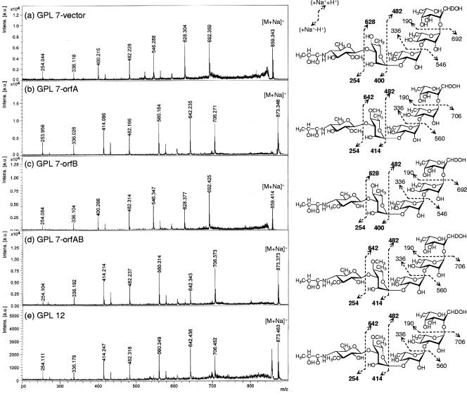 FIG. 5.