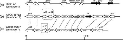 FIG. 2.