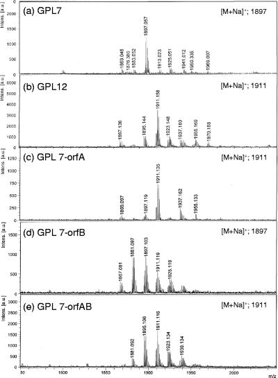 FIG. 4.