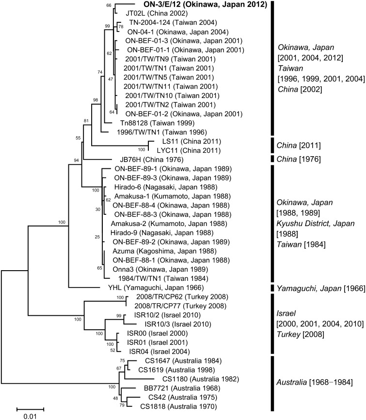 Fig. 1.