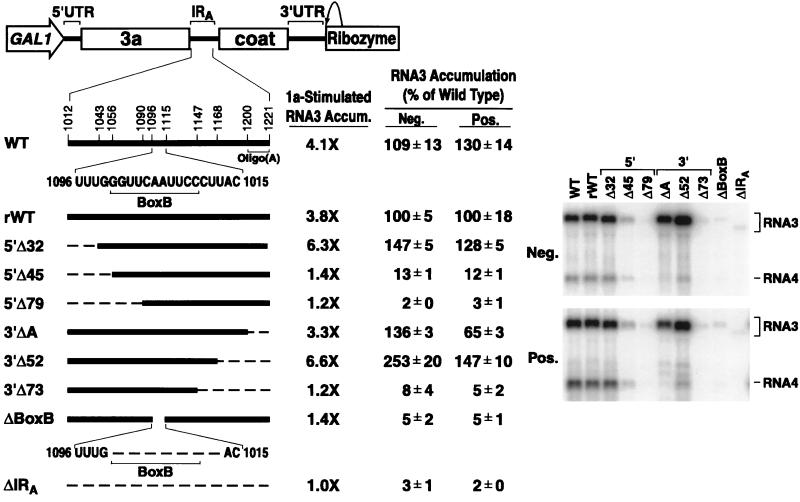 FIG. 7