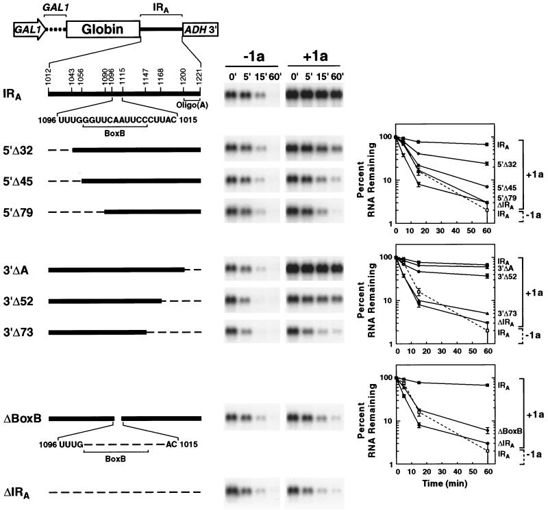 FIG. 6