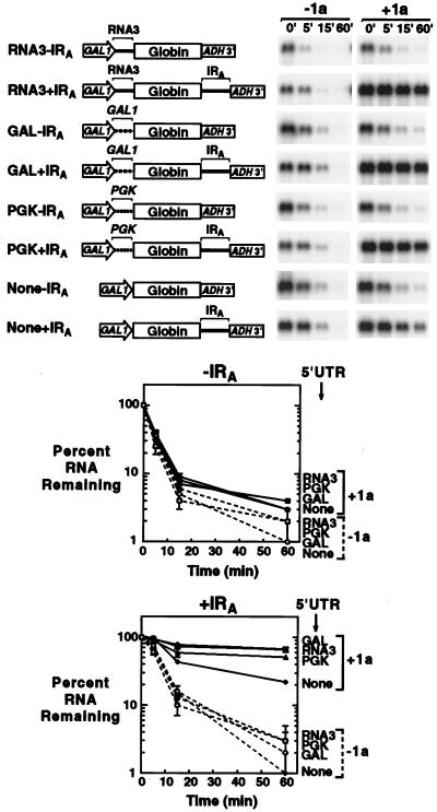 FIG. 5