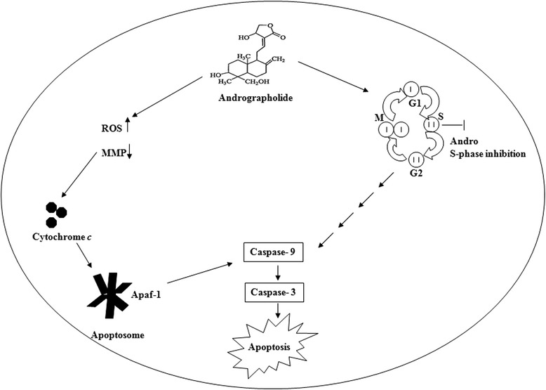 Fig. 9