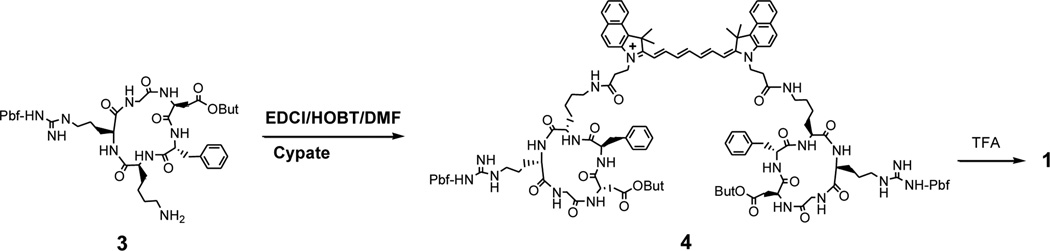 Scheme 1