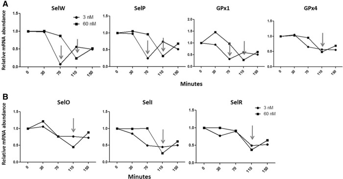 FIGURE 5.