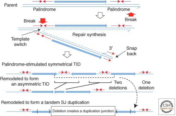 Figure 6.