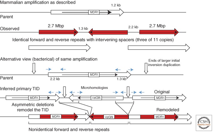 Figure 10.